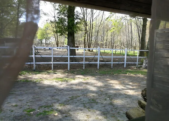 Апартаменты Chalet